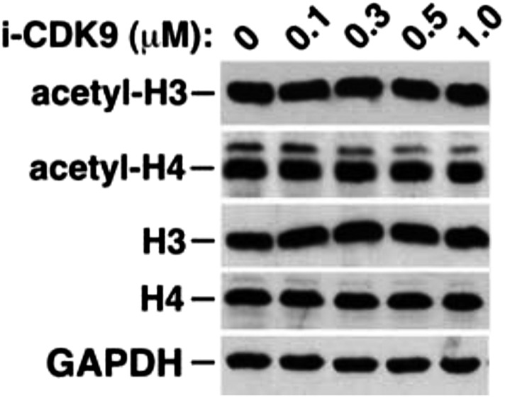 Figure 5—figure supplement 3.