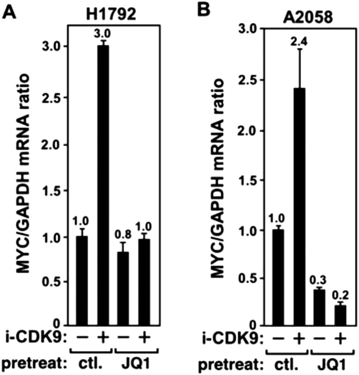 Figure 4—figure supplement 3.