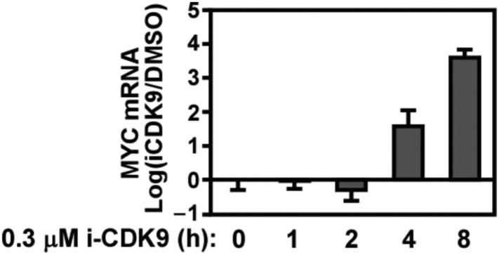 Figure 3—figure supplement 1.