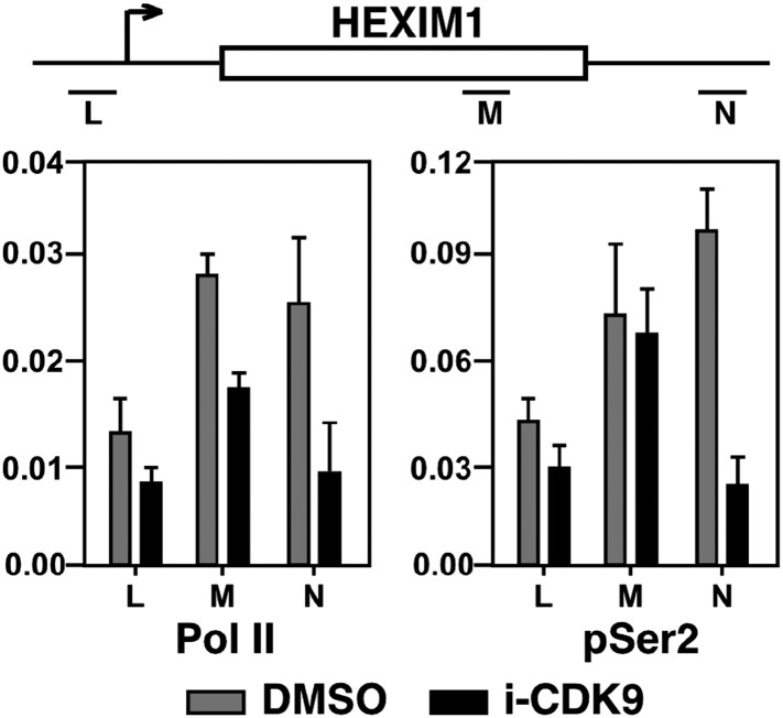 Figure 5—figure supplement 2.