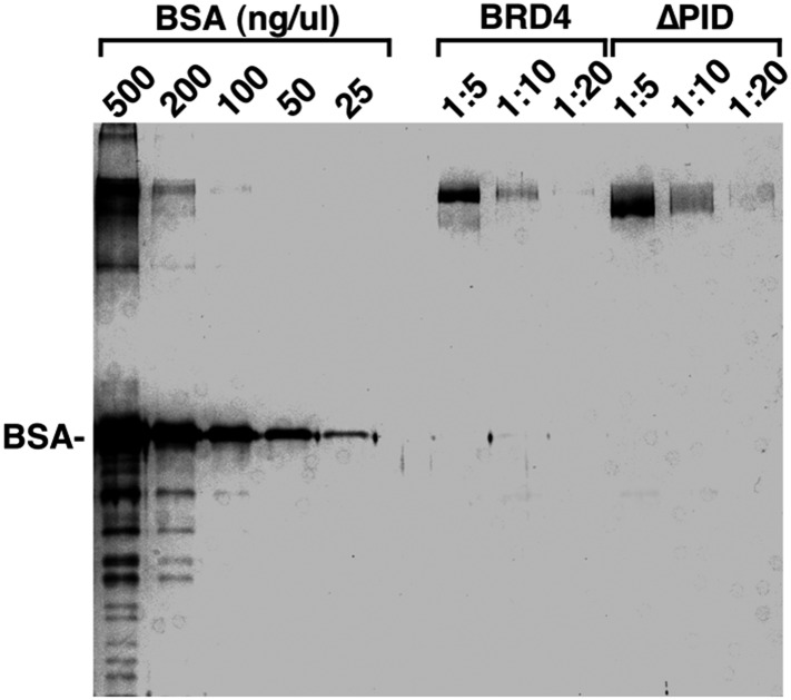 Figure 4—figure supplement 5.