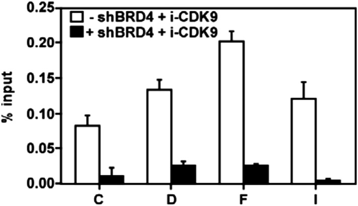 Figure 5—figure supplement 1.