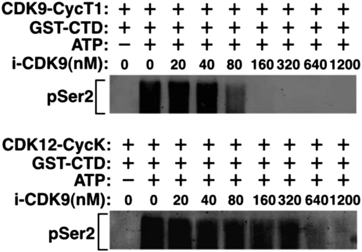 Figure 1—figure supplement 1.