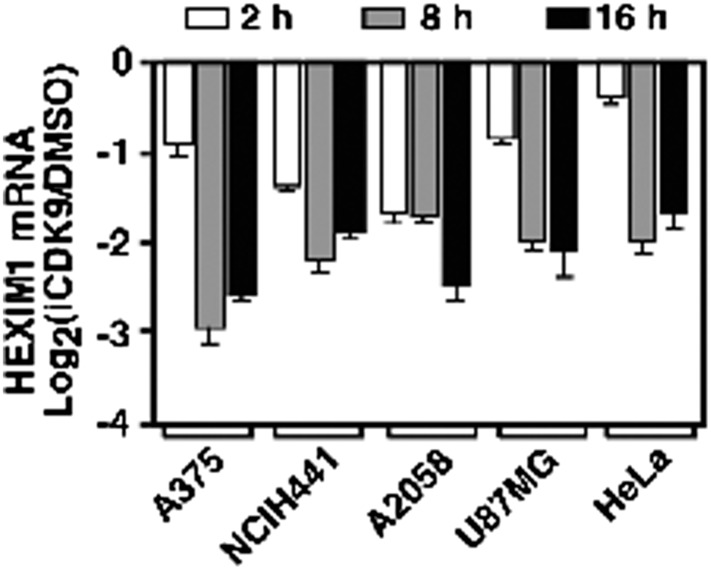 Figure 3—Figure supplement 2.