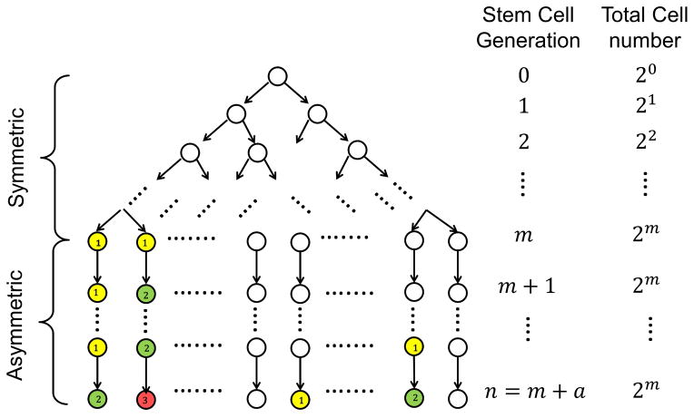 Extended Data Figure 5