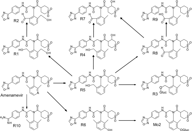 Fig. 5