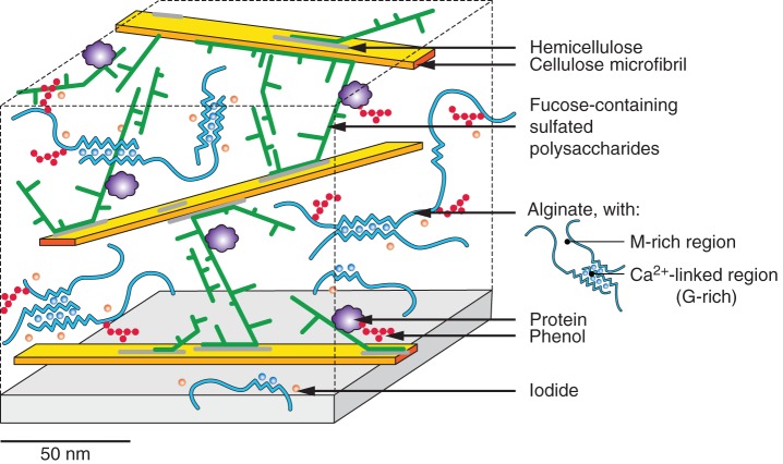 Fig. 7.