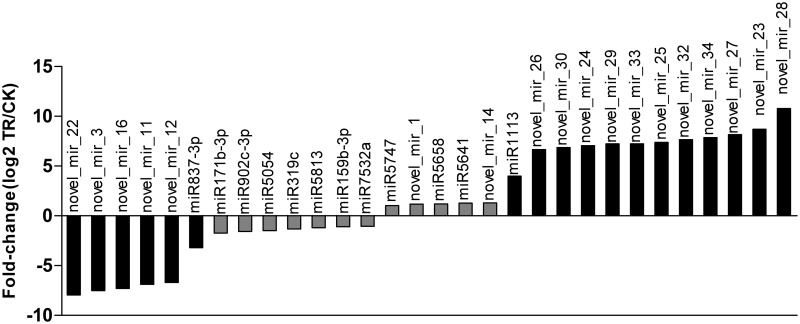 Fig 5