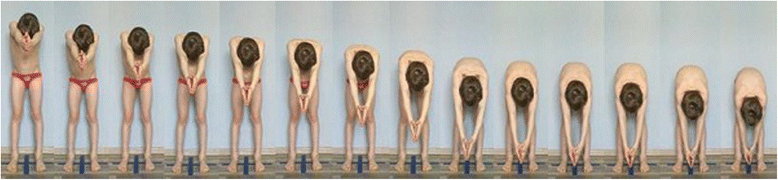 Fig. 3