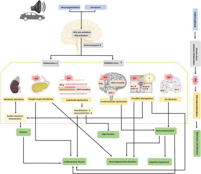 Fig. 1