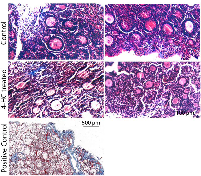 Figure 6