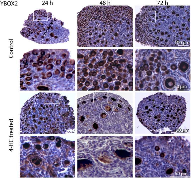 Figure 2