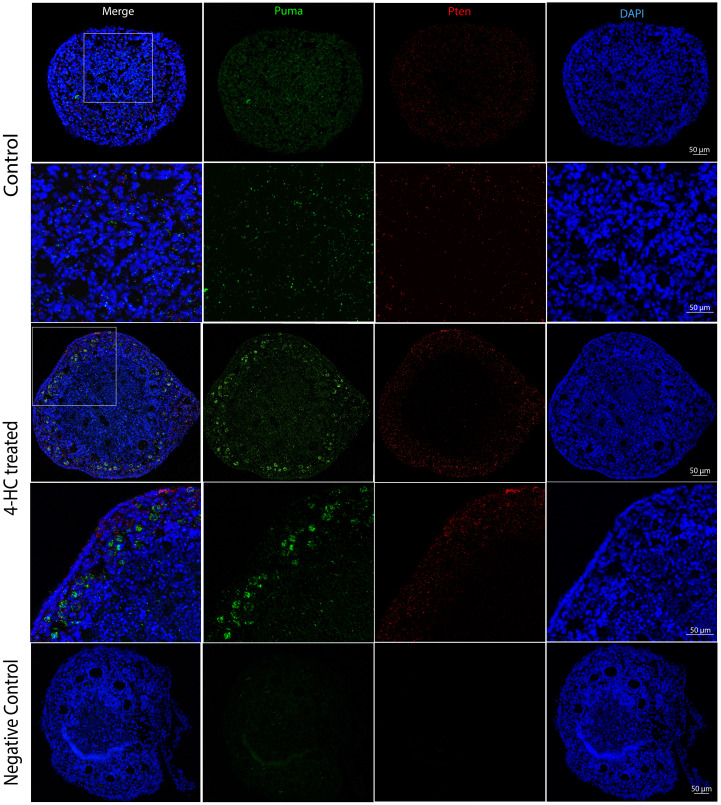 Figure 7