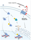 Figure 20