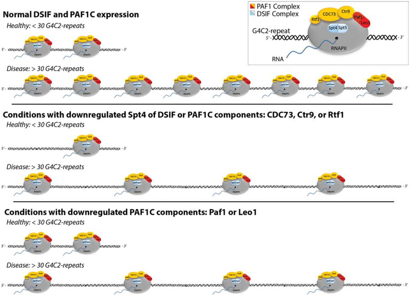 Figure 2: