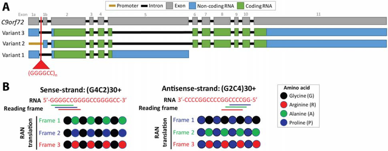 Figure 1: