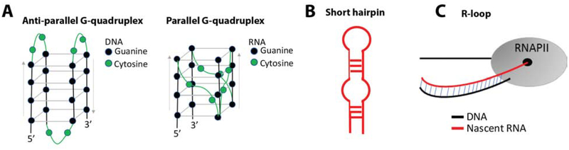 Figure 3, Key Figure: