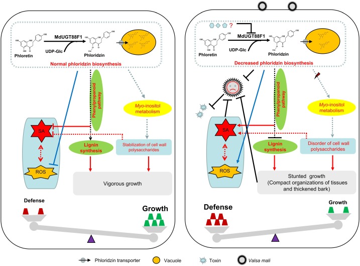 Figure 10.