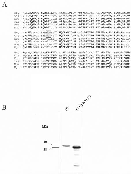 FIG. 4.