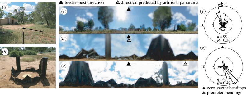 Figure 5.