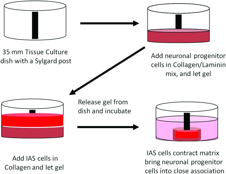 FIG. 2.