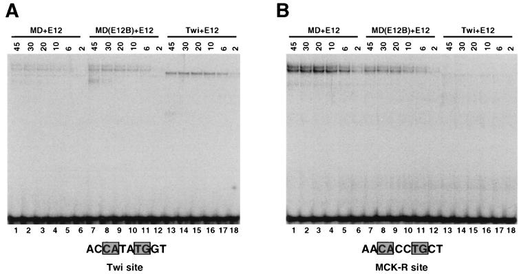 FIG. 7