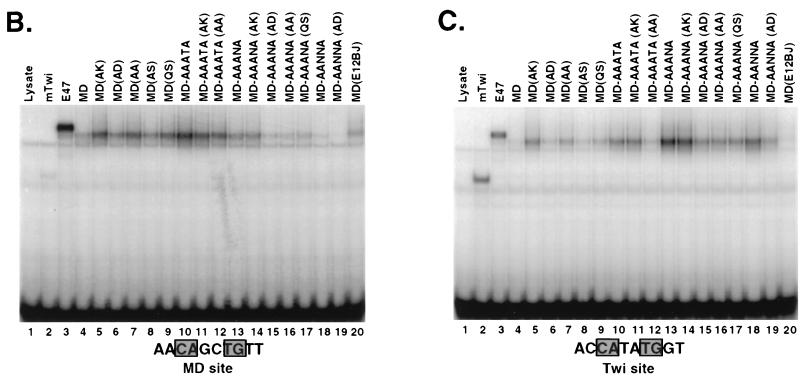 FIG. 8