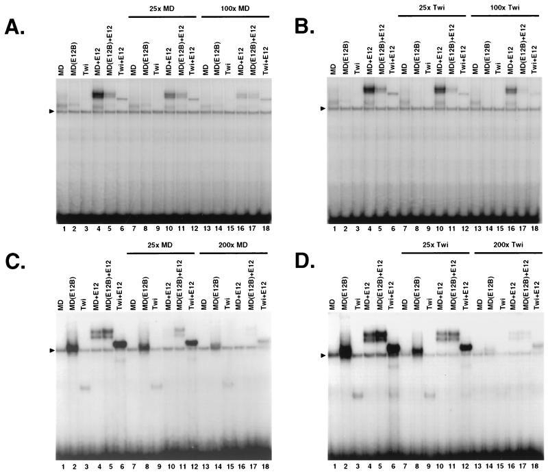 FIG. 6