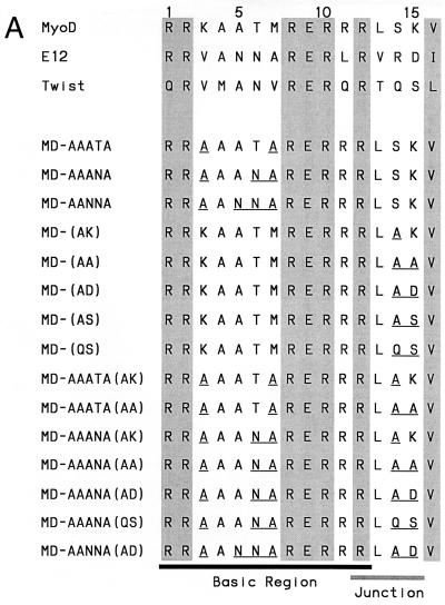 FIG. 8