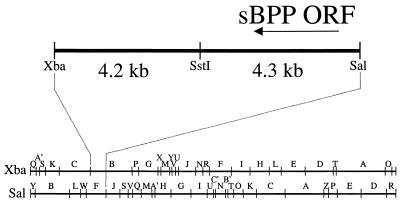 FIG. 1