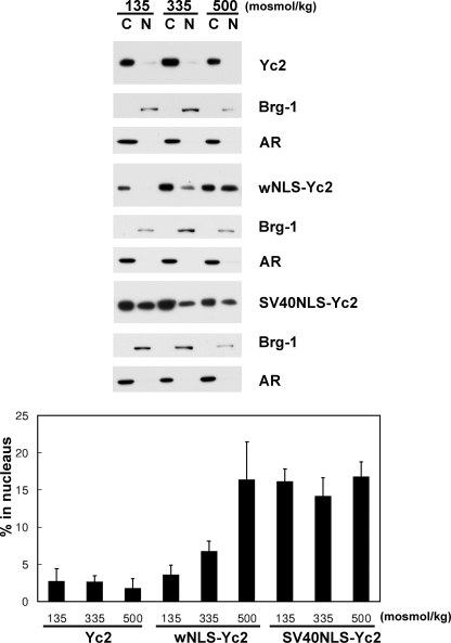 FIGURE 10.