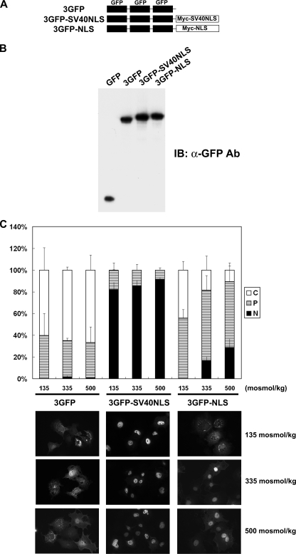 FIGURE 12.