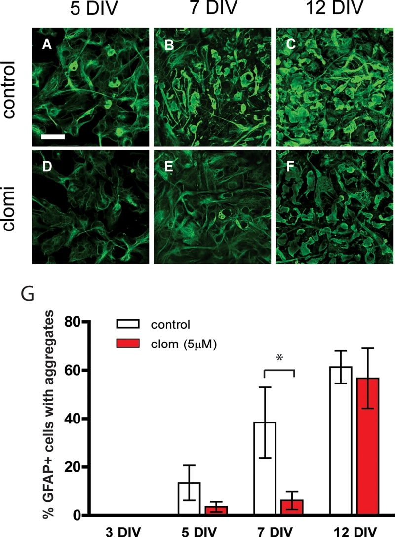 Figure 5.