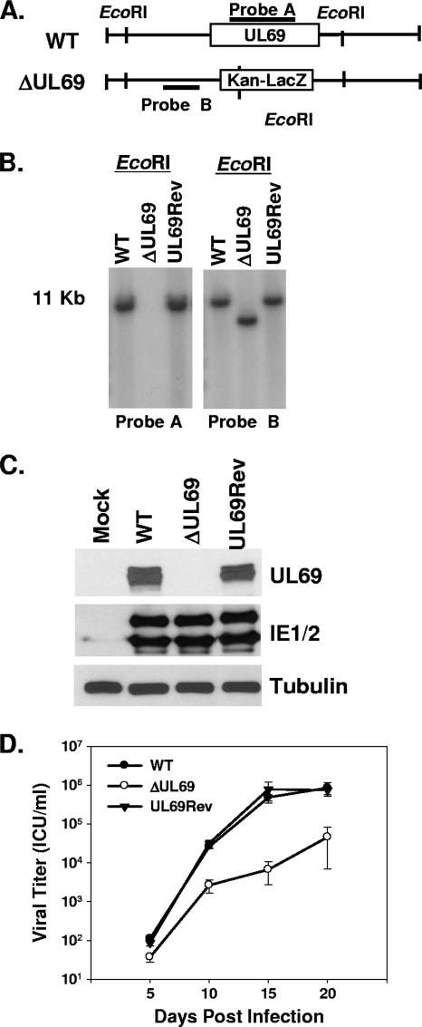 FIG. 1.