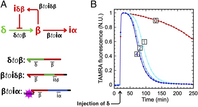 Fig. 8.