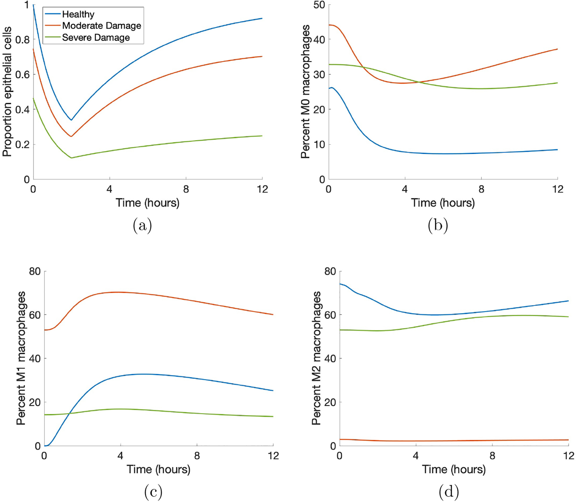 Figure 3: