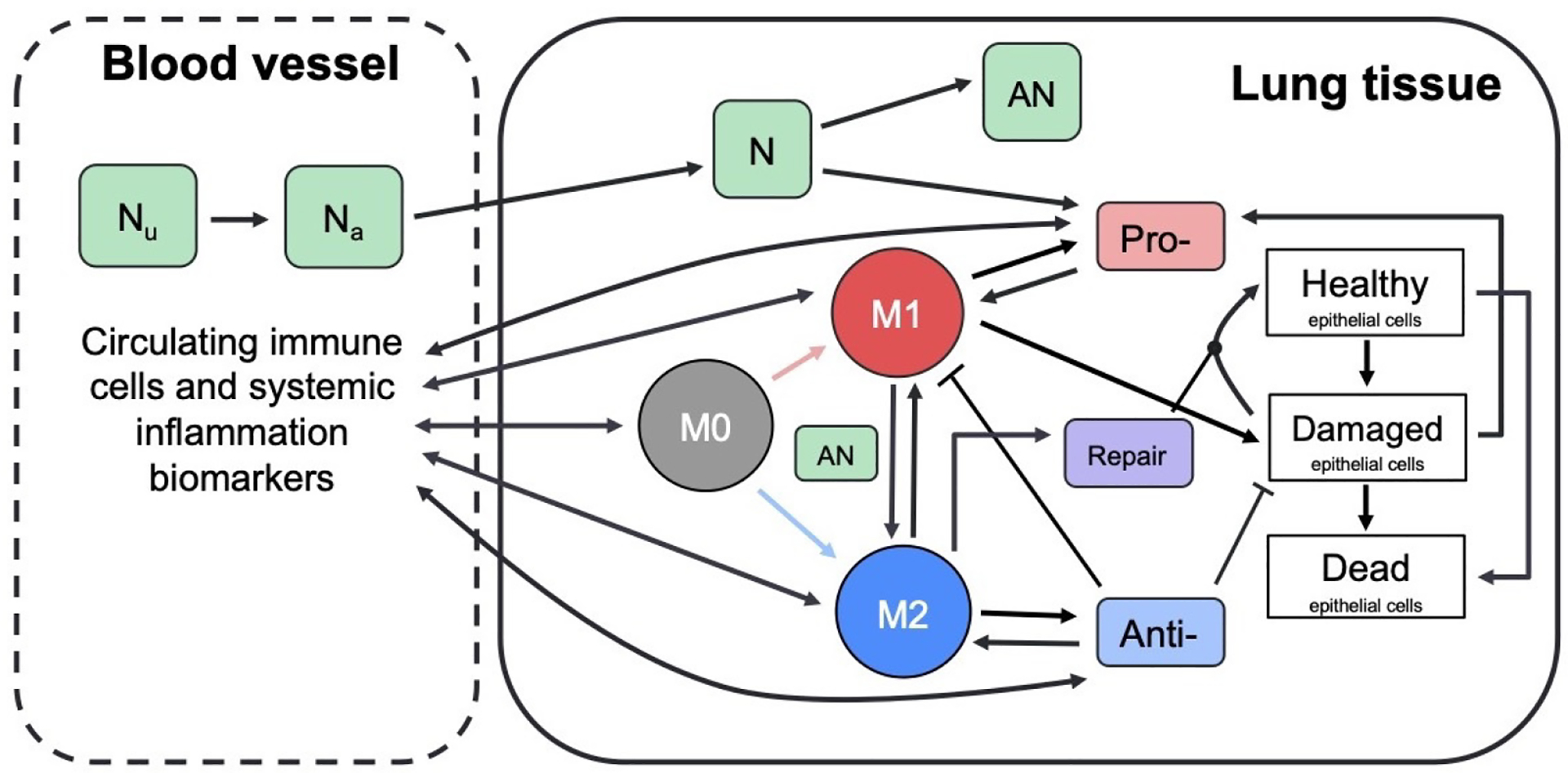 Figure 2: