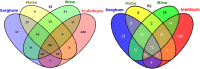 Fig 5