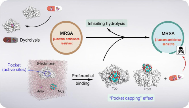 Image, graphical abstract