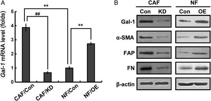 Figure 2.