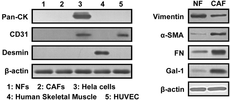 Figure 1.