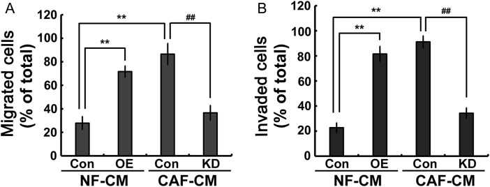 Figure 3.