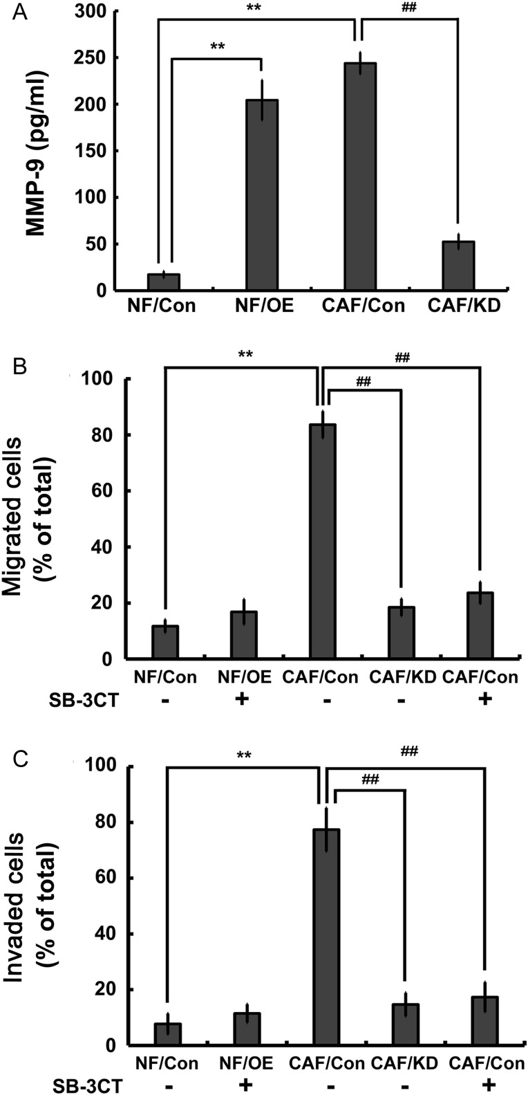 Figure 4.