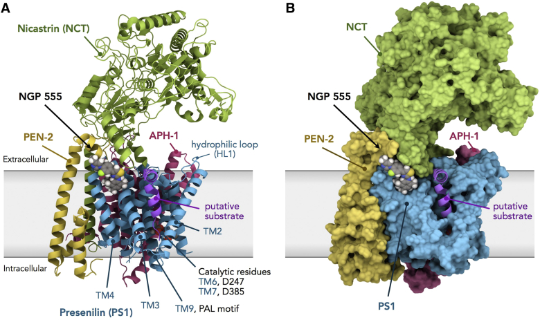 Fig. 2