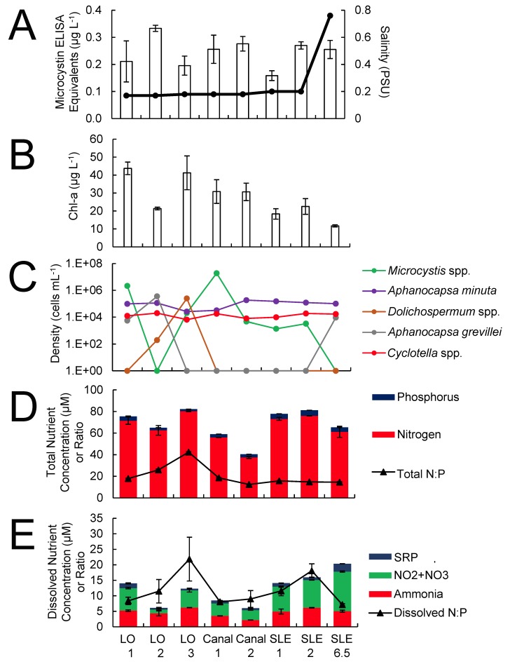 Fig 6