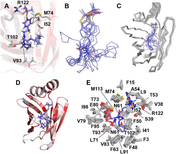 Figure 6.