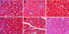 FIG. 5.
