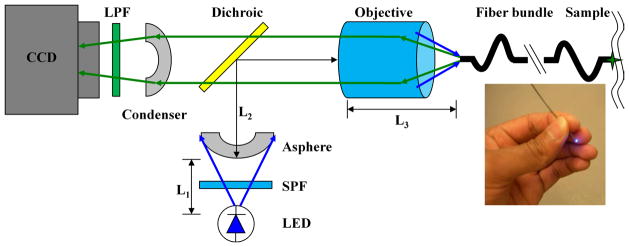 Fig. 1