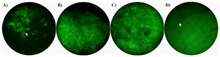 Fig. 5