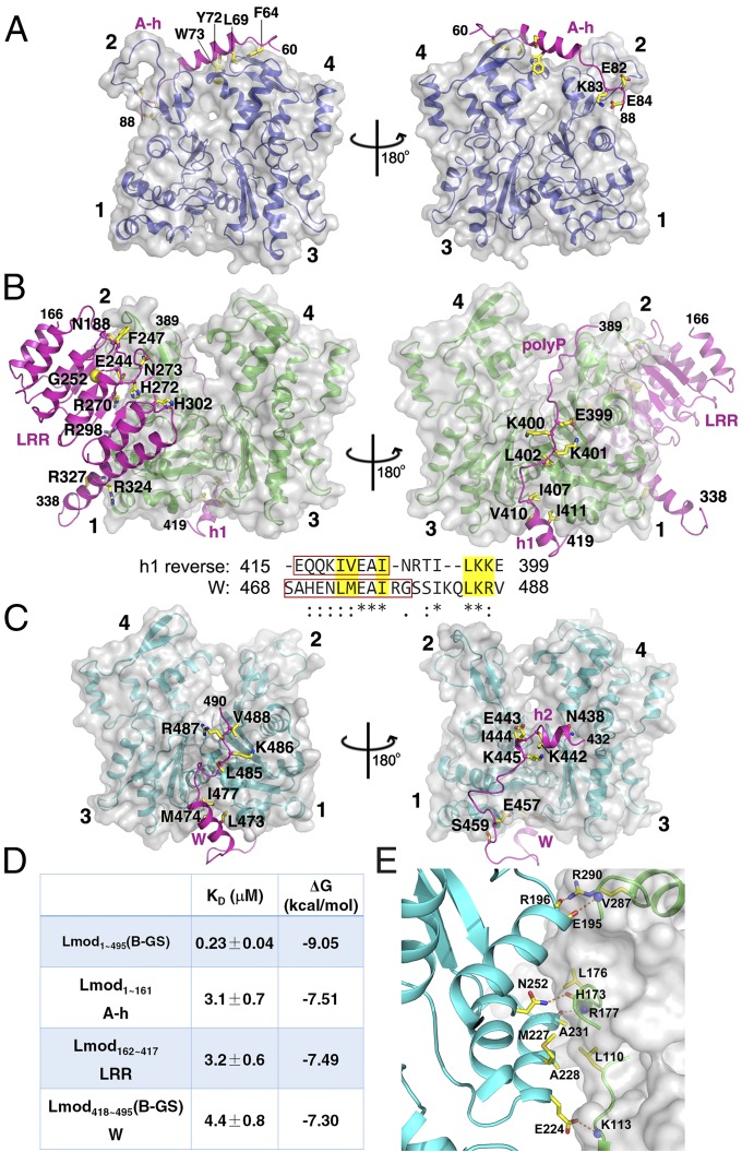 Fig. 2.